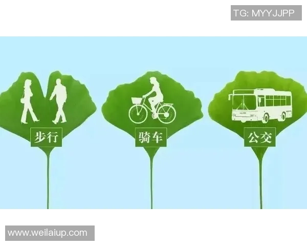 绿色出行新选择：探索自行车在城市交通中的多重价值与发展潜力